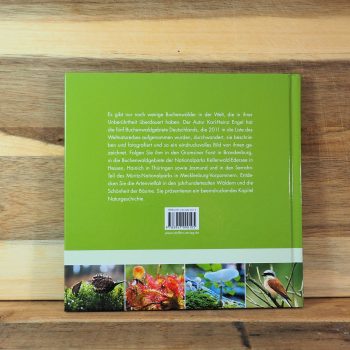 Deutschlands alte Buchenwälder Rückseite