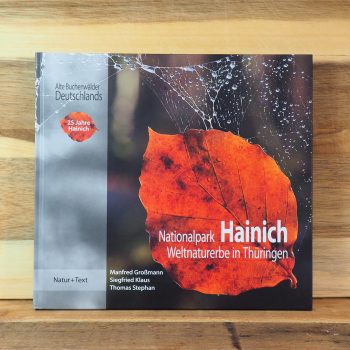 Nationalpark Hainich Weltnaturerbe in Thüringen
