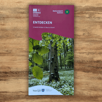 Nationalpark Hainich - ENTDECKEN