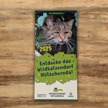 Wildkatzendorf Flyer