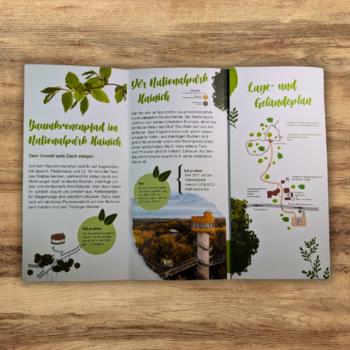 Baumkronenpfad offen