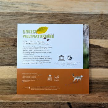 Einblicken Wildkatzen Rückseite