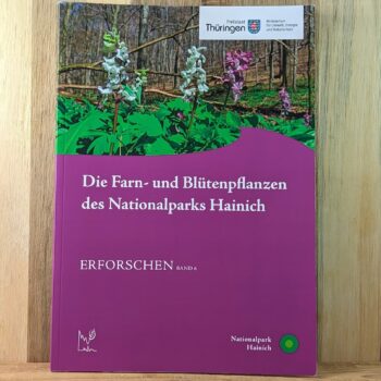 Erforschen Band 6