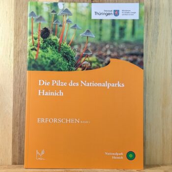 Erforschen Band 5